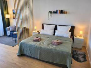 Traumhaftes, zentrumnahes Studio Kassel